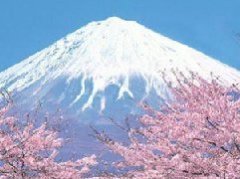 [溫州直飛]日本本州輕奢雙